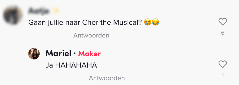 naar de musical