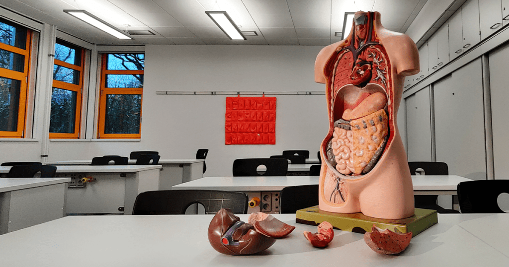 header middelbare school minder