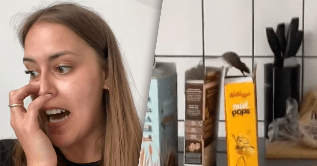 Ontbijt van Lisa wordt grote nachtmerrie door nare vondst in mueslipak