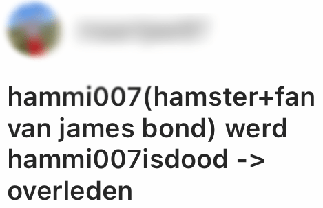 wachtwoorden