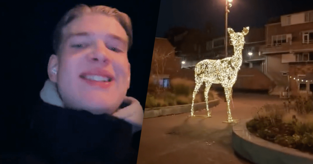 kerstversiering zonder