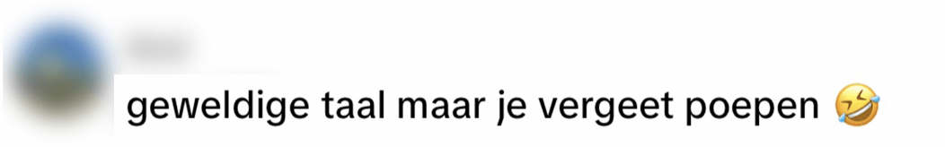 vlaamse