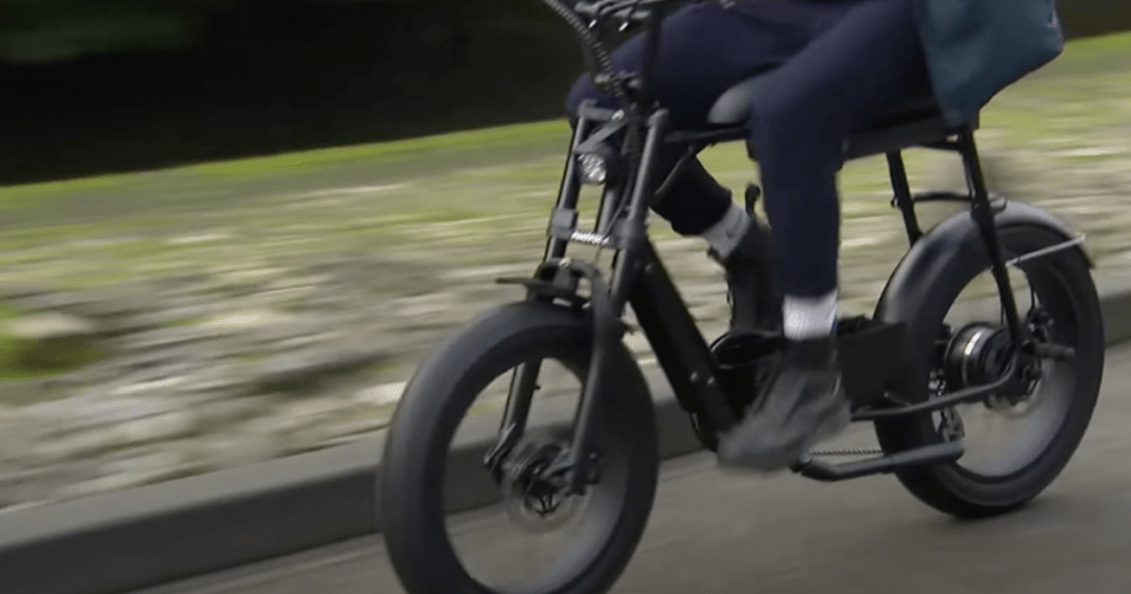 fatbikes