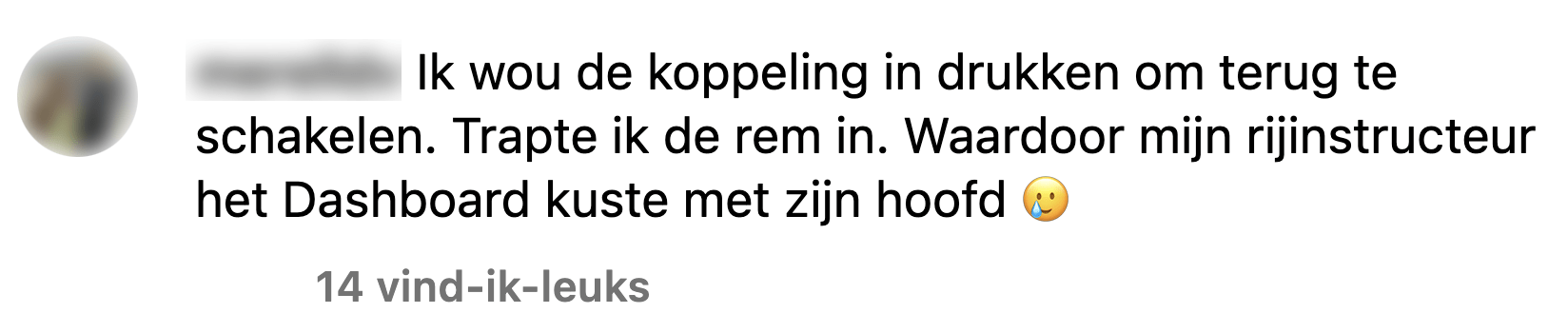 rijles