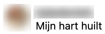 toetje restaurant menukaart bizar ijs
