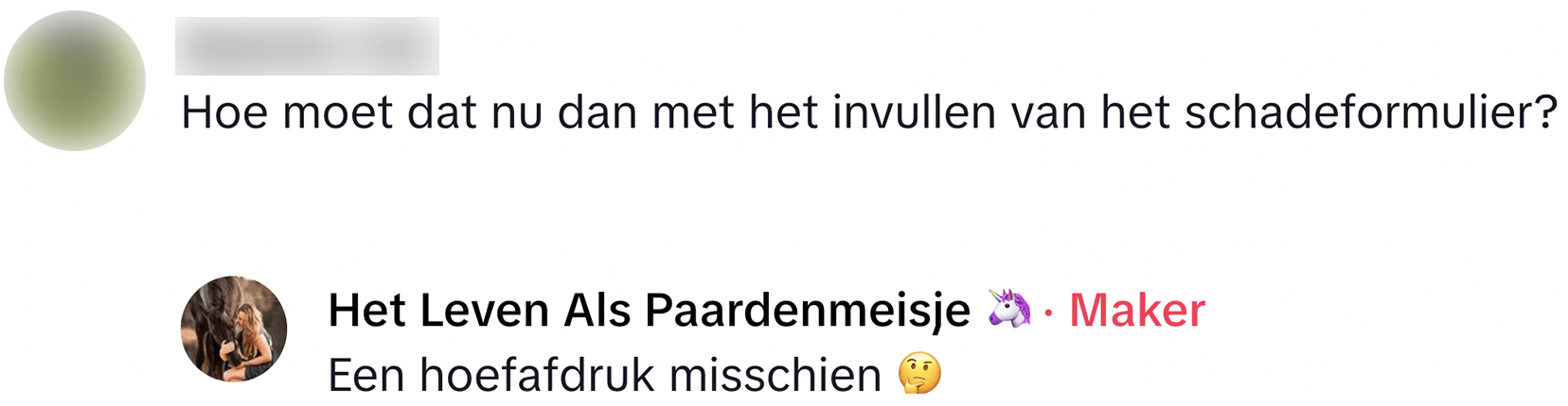 schotse hooglander