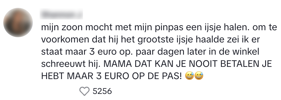ijsje