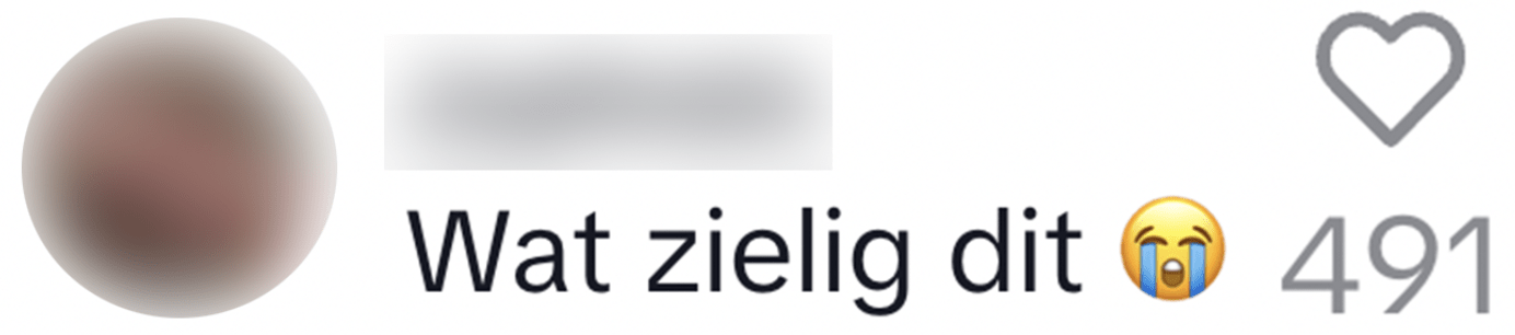 hond