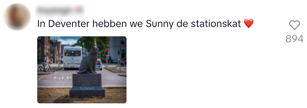 stationskat