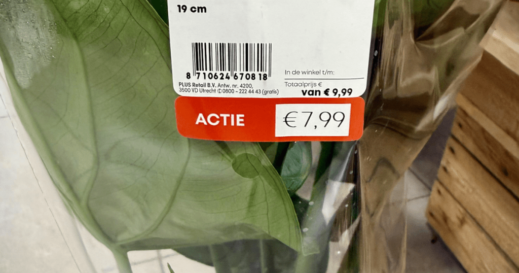 plus