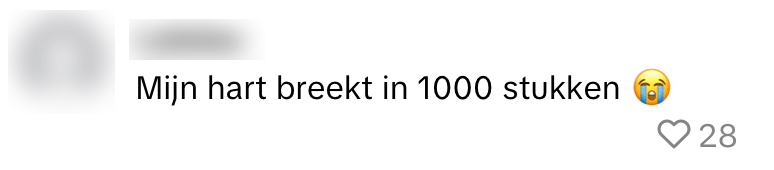 poes kat