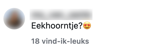 eekhoorn