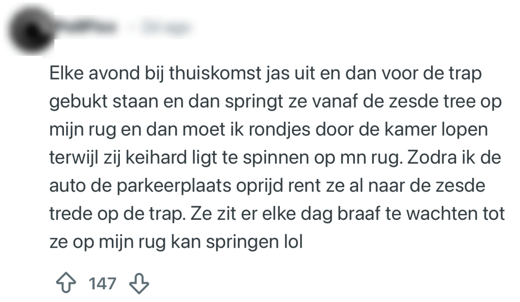 katten rituelen baasjes