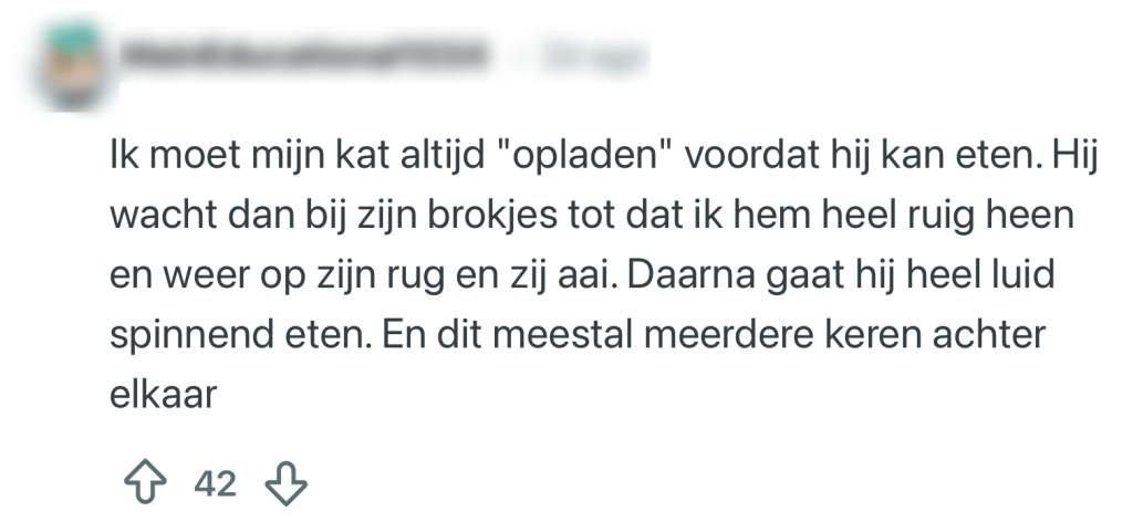 katten rituelen baasjes