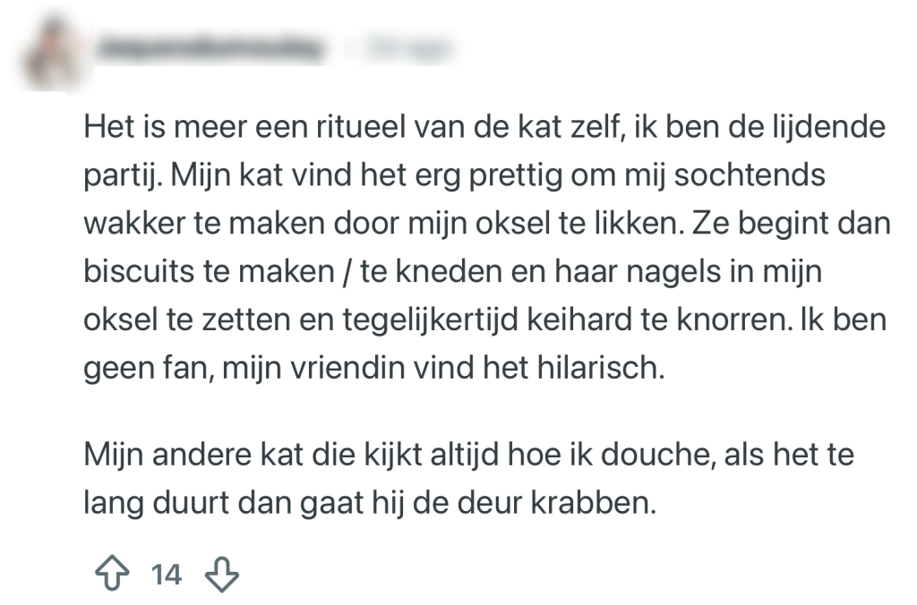 katten rituelen baasjes