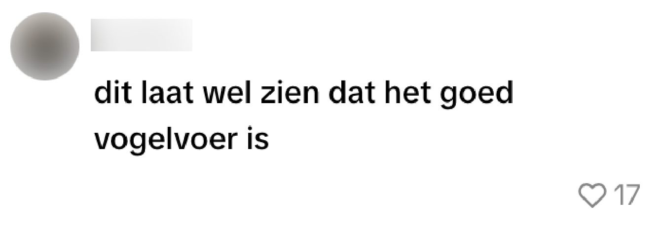 duif